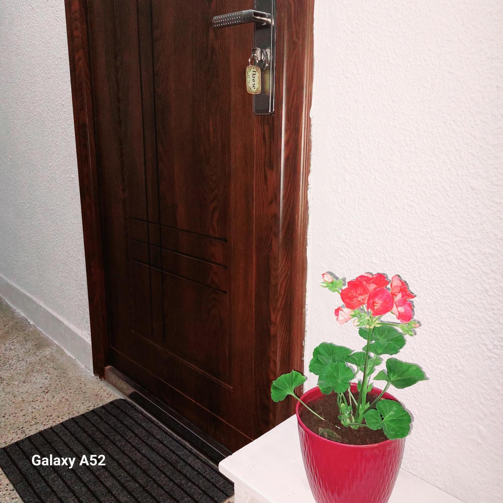 Apartman Pavle プルジネ エクステリア 写真